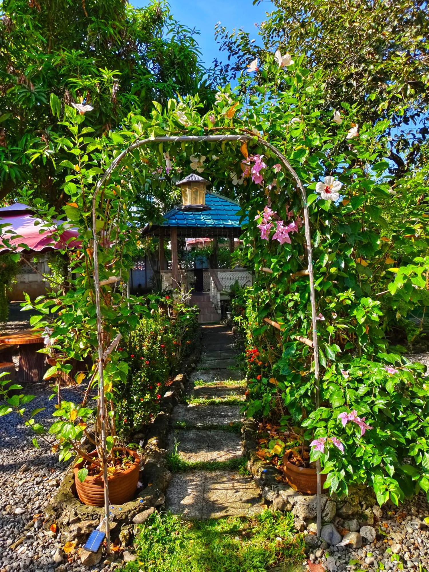 Monte Rio Gardens Bed&Breakfast Alaminos Buitenkant foto