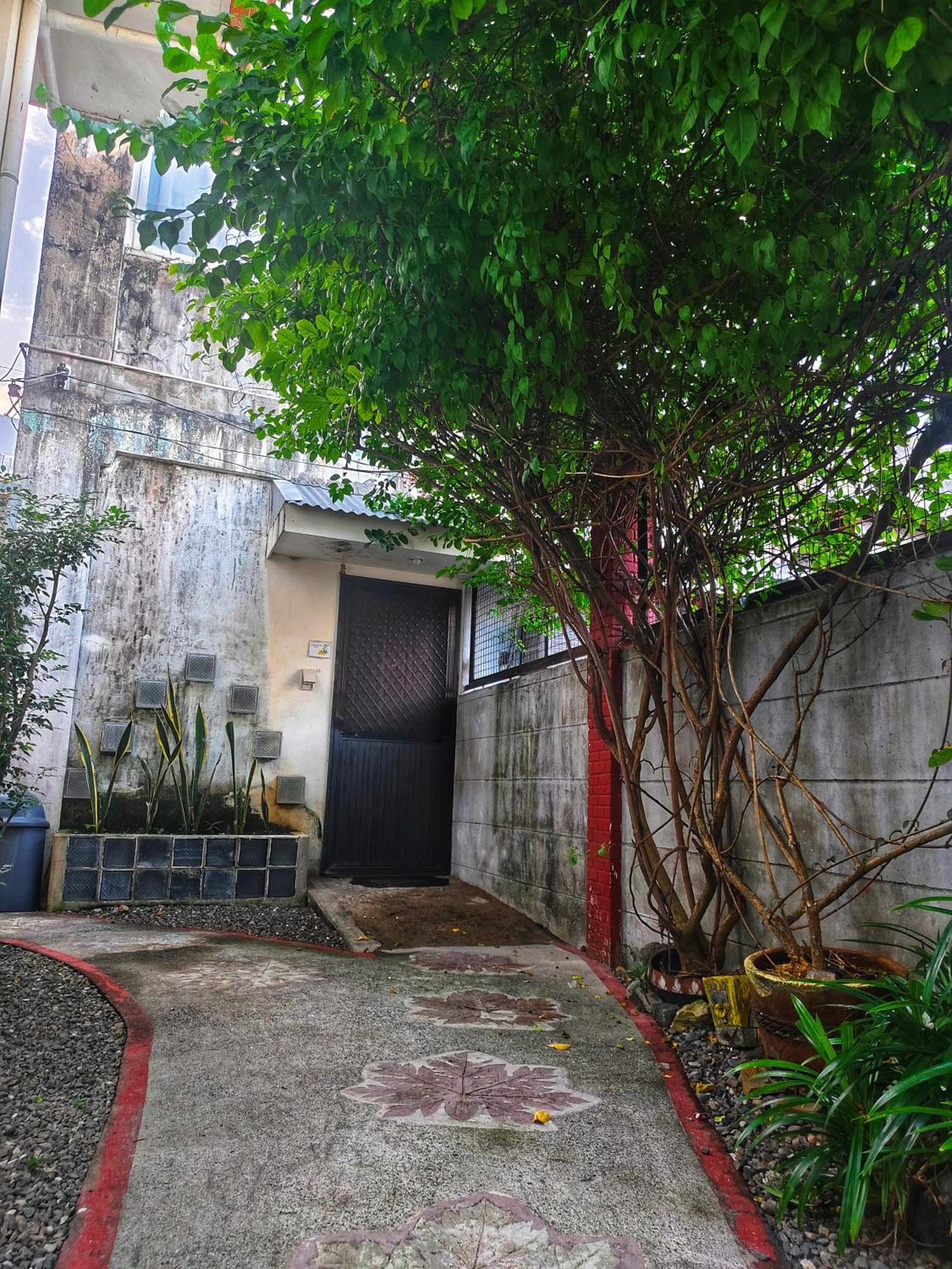 Monte Rio Gardens Bed&Breakfast Alaminos Buitenkant foto